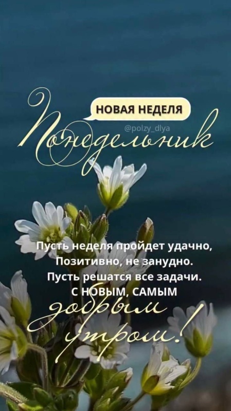 Картинки Доброе утро понедельника (70 открыток). Красивые картинки Доброе утро понедельника