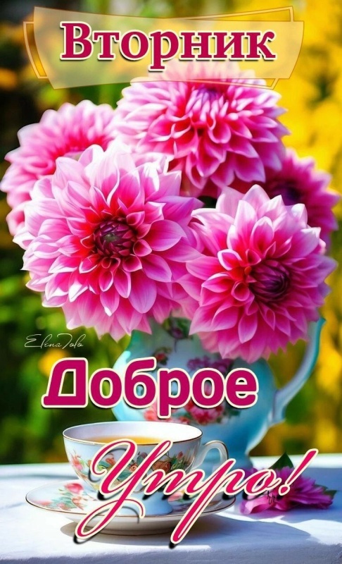 Картинки Доброе утро вторника (65 открыток). Картинки Доброе утро вторника - красивые и новые