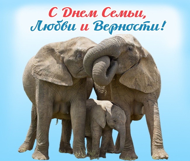 Картинки с Днем семьи любви и верности (90 открыток). С Днем семьи любви и верности - открытки прикольные