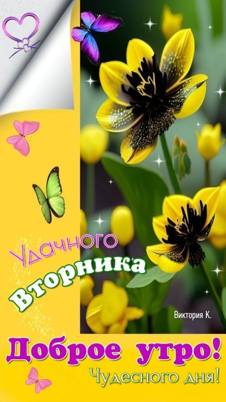 Картинки Доброе утро вторника (65 открыток). Доброе утро вторника - картинки с надписью