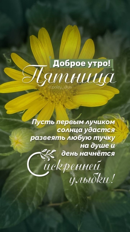 Картинки с добрым утром пятницы . Красивые картинки Доброе утро пятница