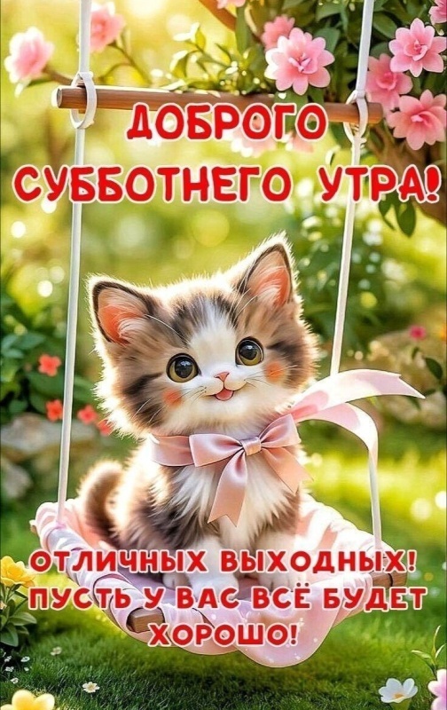 Картинки Доброе утро субботы. Картинки "Доброго утра субботы" прикольные
