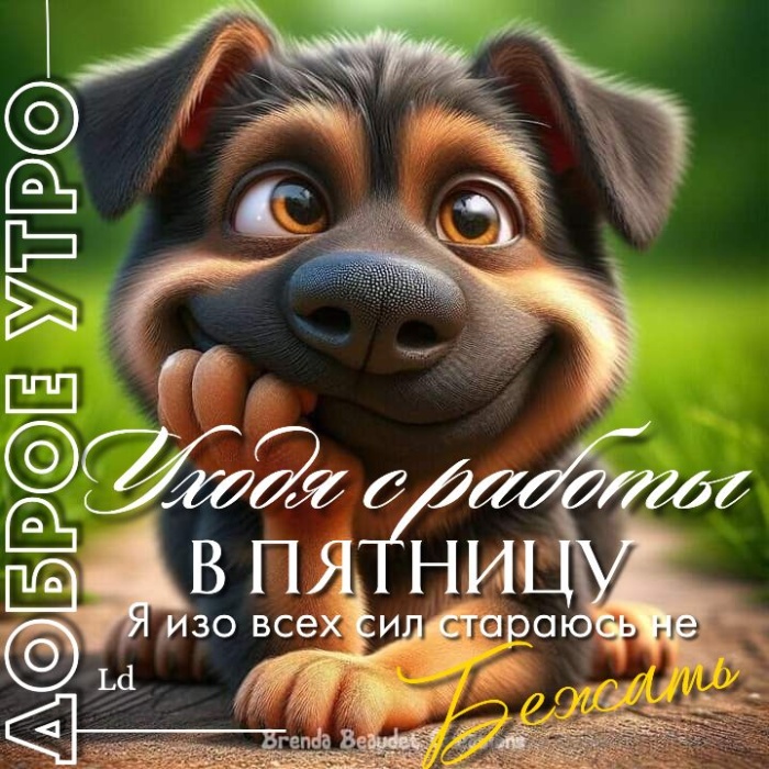 Картинки с добрым утром пятницы . Доброе утро пятница - картинки позитивные