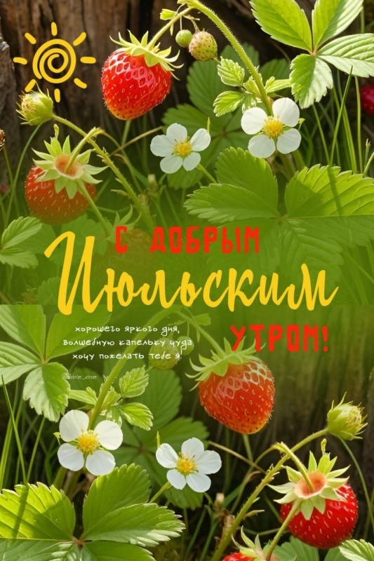 Картинки Доброе июльское утро. Красивые картинки Доброго июльского утра