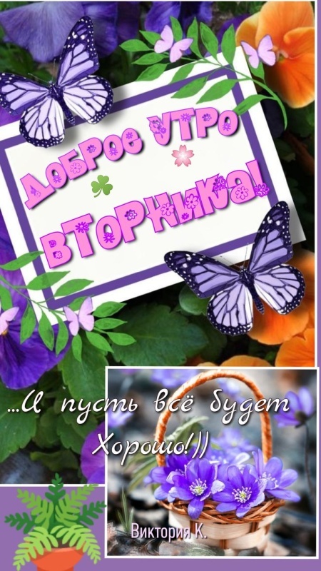 Картинки Доброе утро вторника (65 открыток). Доброе утро вторника - картинки с надписью
