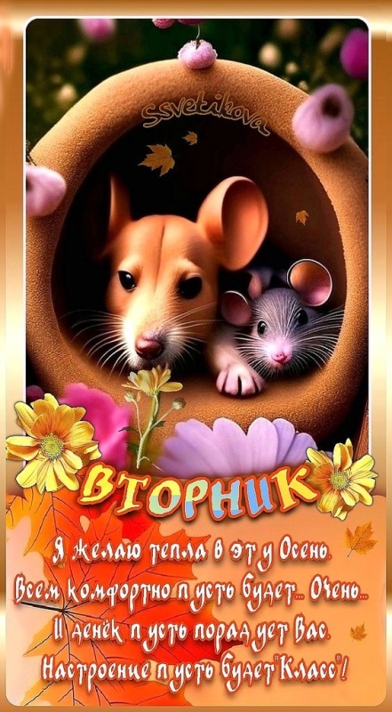 Картинки Доброе утро вторника (65 открыток). Позитивные картинки Доброе утро