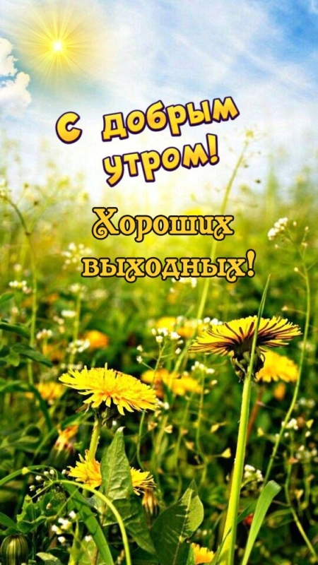 Картинки Доброе утро субботы. Доброе утро субботы - картинки летние