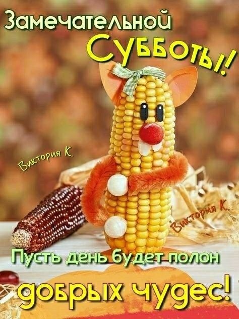 Картинки Доброе утро субботы. Картинки "Доброго утра субботы" прикольные