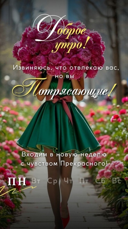 Картинки Доброе утро понедельника (70 открыток). Доброе утро понедельника - картинки позитивные