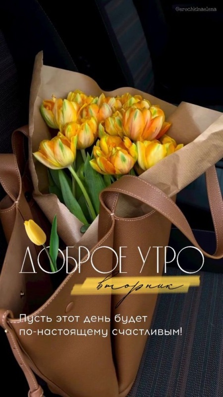 Картинки Доброе утро вторника (65 открыток). Картинки Доброе утро вторника - красивые и новые