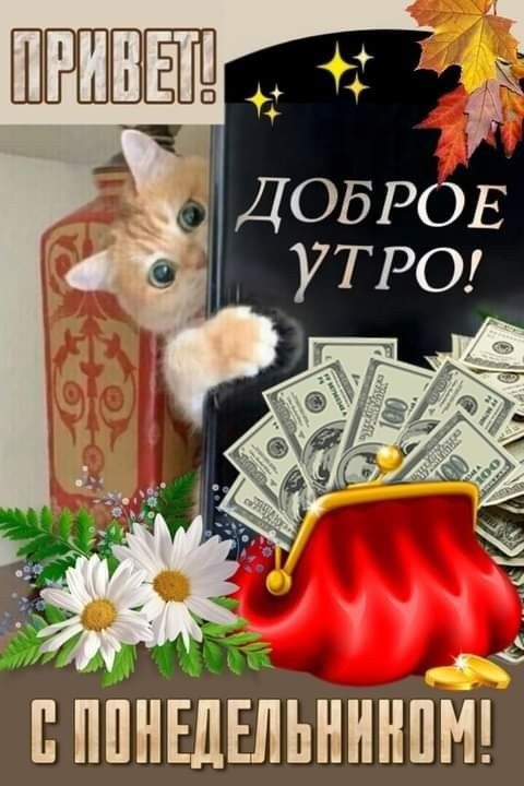 Картинки Доброе утро понедельника (70 открыток). Доброе утро понедельника - картинки позитивные