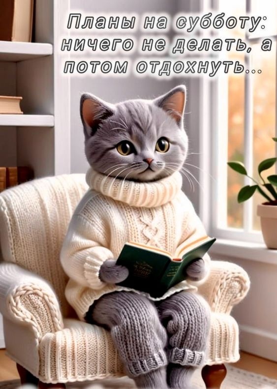 Картинки Доброе утро субботы. Картинки "Доброго утра субботы" прикольные