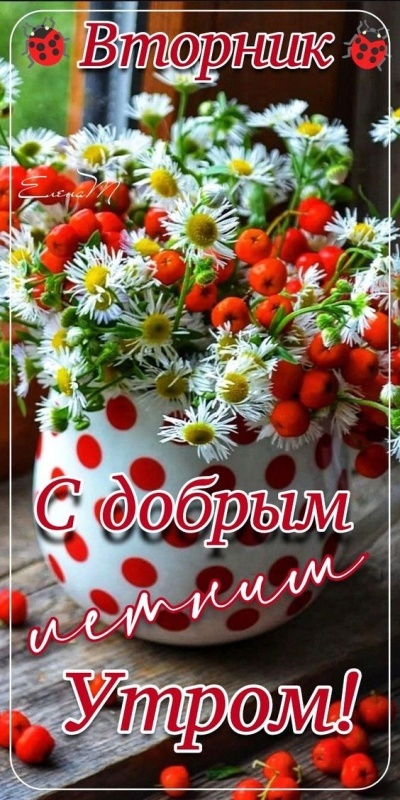 Картинки Доброе утро вторника (65 открыток). Картинки Доброе утро вторника - красивые и новые