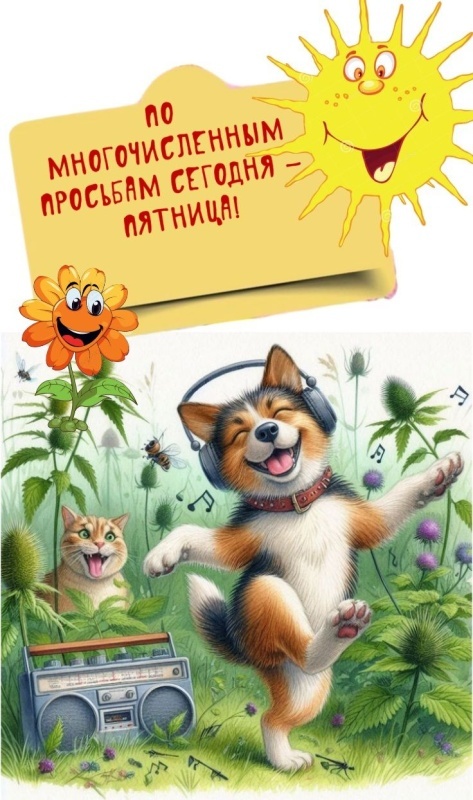 Картинки с добрым утром пятницы . Доброе утро пятница - картинки позитивные