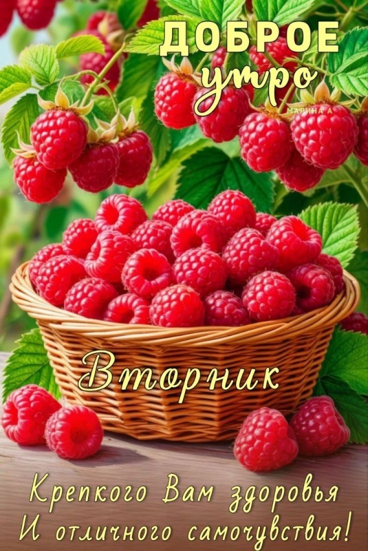 Картинки Доброе утро вторника (65 открыток). Доброе утро вторника - картинки с надписью