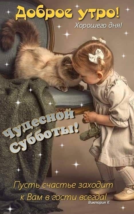 Картинки Доброе утро субботы. Картинки "Доброго утра субботы" прикольные