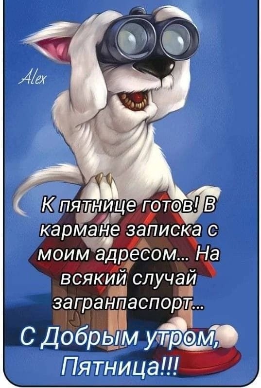 Картинки с добрым утром пятницы . Доброе утро пятница - картинки позитивные