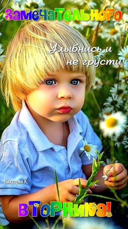 Картинки Доброе утро вторника (65 открыток). Позитивные картинки Доброе утро