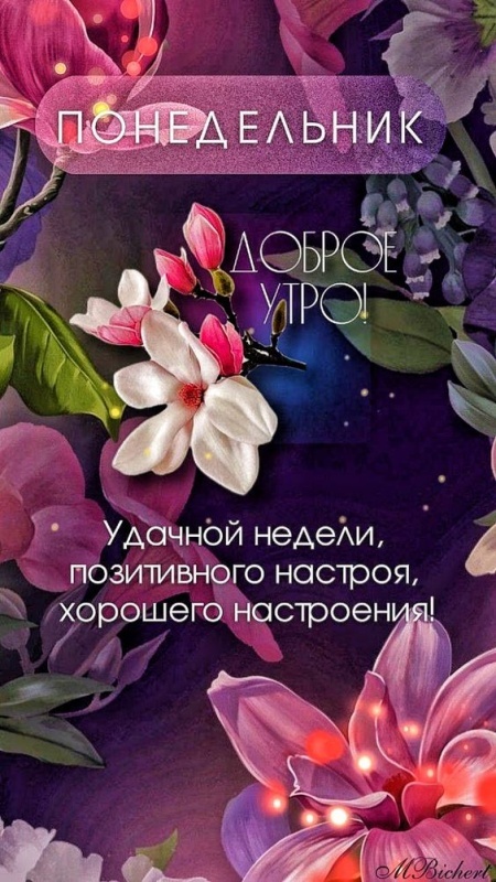 Картинки Доброе утро понедельника (70 открыток). Красивые картинки Доброе утро понедельника