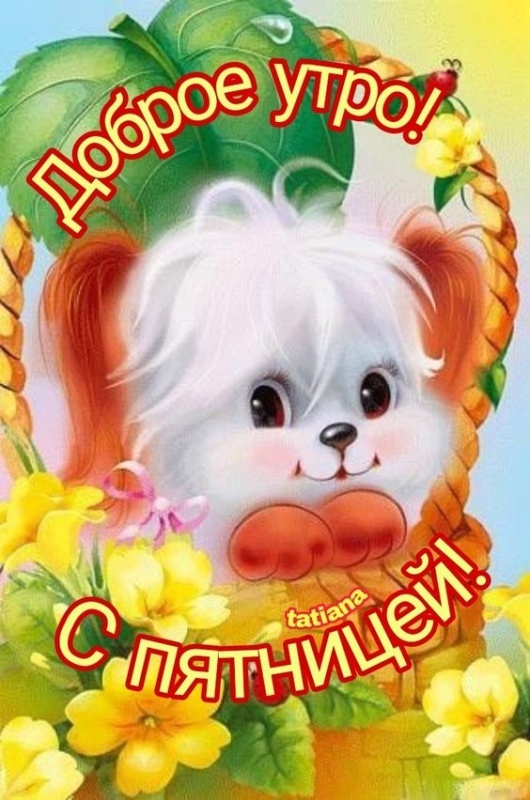 Картинки с добрым утром пятницы . Доброе утро пятница - картинки позитивные