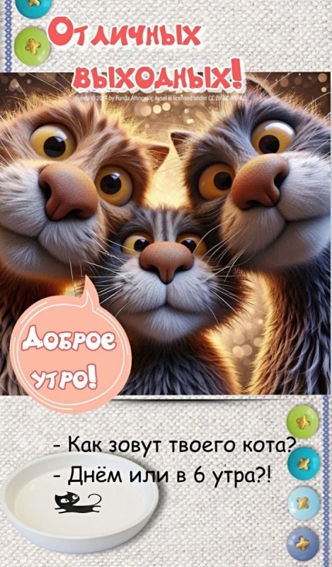 Картинки Доброе утро субботы. Картинки "Доброго утра субботы" прикольные