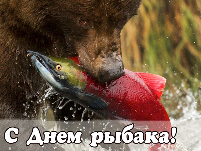 Картинки с Днем рыбака красивые и прикольные. Красивые открытки с Днем рыбака