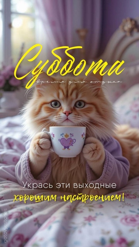 Картинки Доброе утро субботы. Картинки "Доброго утра субботы" прикольные