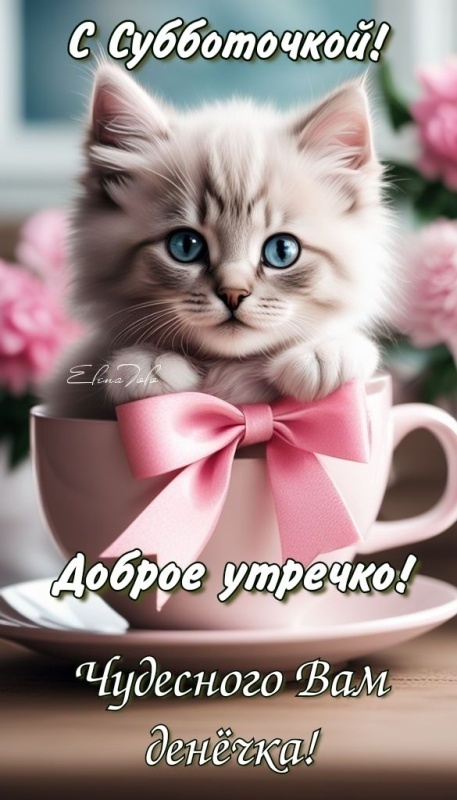Картинки Доброе утро субботы. Картинки "Доброго утра субботы" прикольные