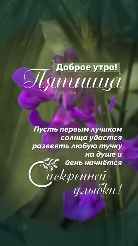 Картинки с добрым утром пятницы . Красивые картинки Доброе утро пятница