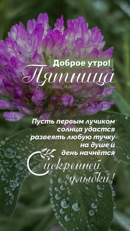Картинки с добрым утром пятницы . Красивые картинки Доброе утро пятница