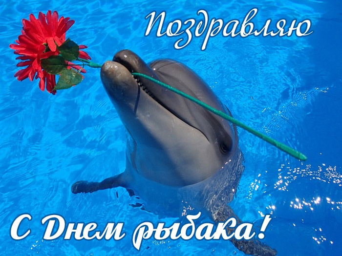 Картинки с Днем рыбака красивые и прикольные. Прикольные открытки с Днем рыбака