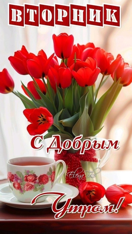Картинки Доброе утро вторника (65 открыток). Картинки Доброе утро вторника - красивые и новые