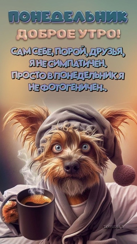 Картинки Доброе утро понедельника (70 открыток). Прикольные картинки Доброе утро понедельника