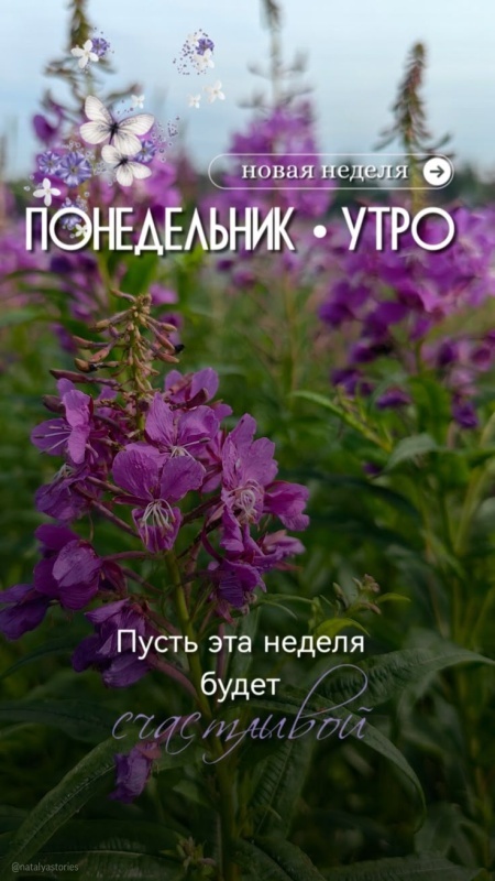 Картинки Доброе утро понедельника (70 открыток). Красивые картинки Доброе утро понедельника