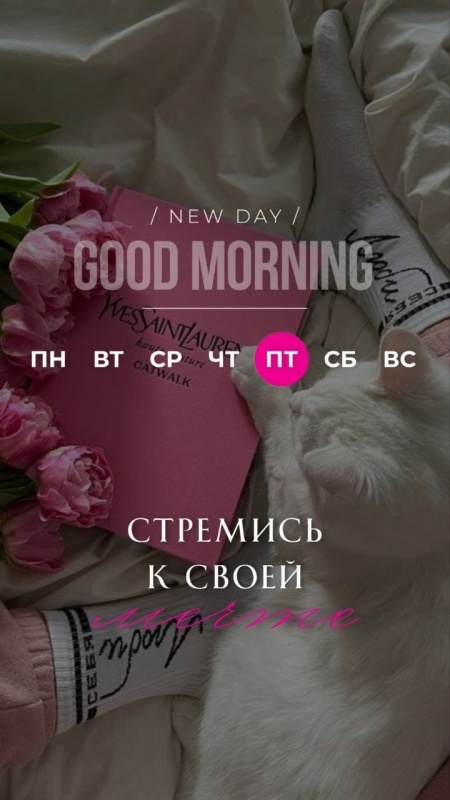Картинки с добрым утром пятницы . Красивые картинки Доброе утро пятница