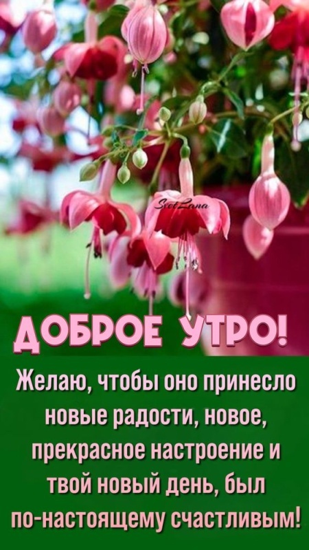 Картинки Доброе утро субботы. Красивые картинки Доброе утро субботы