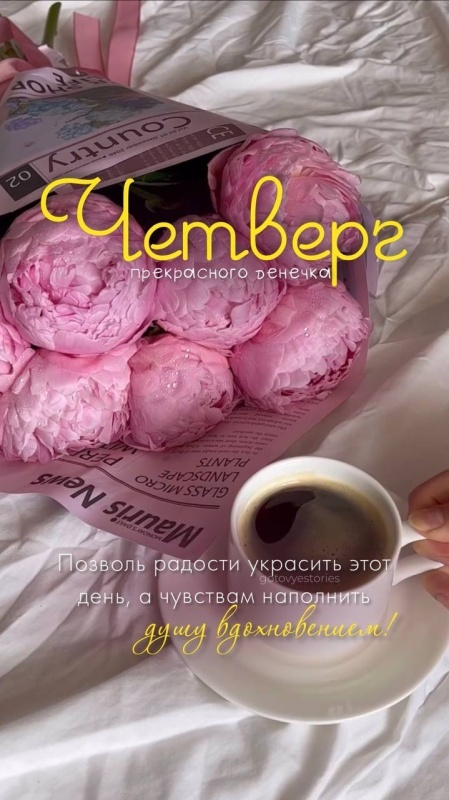 Картинки Доброе утро четверга (80 открыток). Красивые картинки Доброе утро четверга