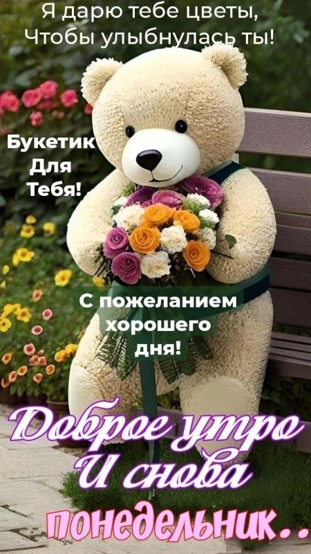 Картинки Доброе утро понедельника (70 открыток). Доброе утро понедельника - картинки позитивные