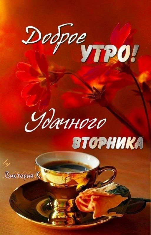 Картинки Доброе утро вторника (65 открыток). Картинки Доброе утро вторника - красивые и новые