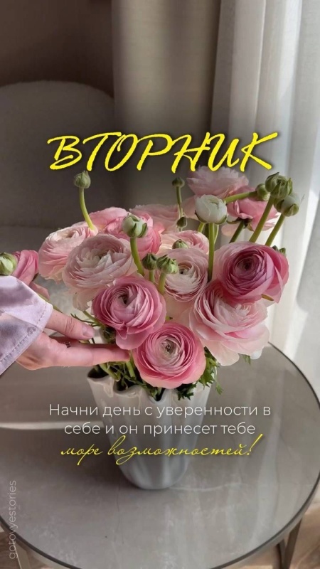 Картинки Доброе утро вторника (65 открыток). Доброе утро вторника - картинки с надписью
