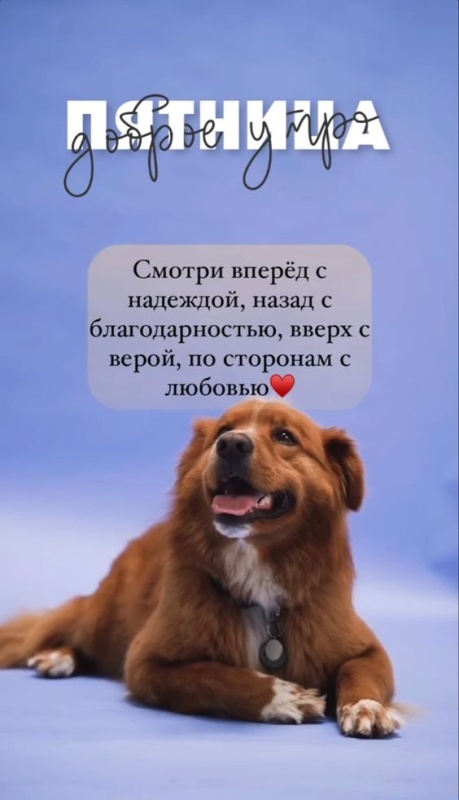 Картинки с добрым утром пятницы . Доброе утро пятница - картинки позитивные